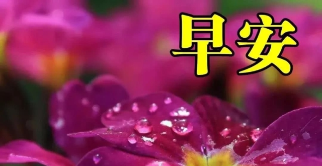 清晨早上好唯美动态祝福图片带字 早晨微信问候动画