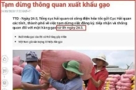 越南禁止出口大米！全球粮食市场异动，大风暴还在后面