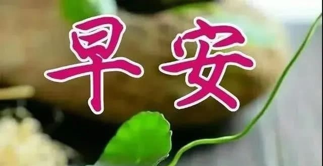 4月7日早上好最棒问候表情祝福语录 清晨最美祝福美图