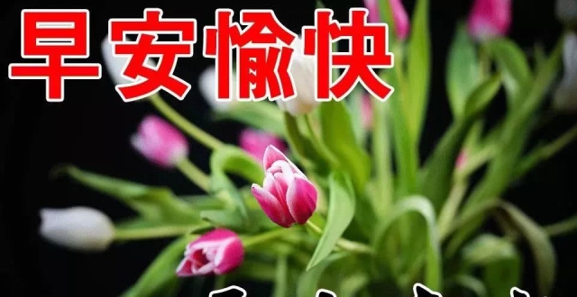10月4日最温暖的早上好祝福语鲜花动态图片 ,早上好的