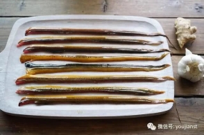 【食疗养生】黄鳝,不仅是餐桌上的佳肴,还是胃下垂等疾病的良药