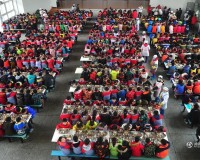 2017河南艺考:考生须参加省统考 空乘划归表演