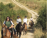 徐海乔《醉玲珑》曝海报 陌上人如玉公子世无双