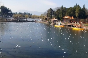 云南昆明五家堆湿地公园,一个起净化作用的湿地公园