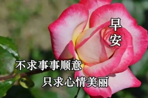 最新早上好温馨祝福语录句子,星期天早上问候大家带字图片