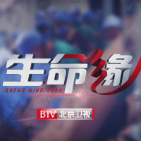 北京卫视生命缘最新文章