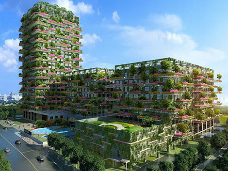 碧桂园再升级 五星战略做美好生活实践家