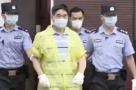 媒体评猥亵女童案：王振华判决5年轻了还是重了？
