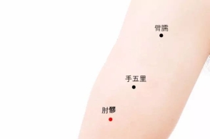肘髎穴 腾讯网
