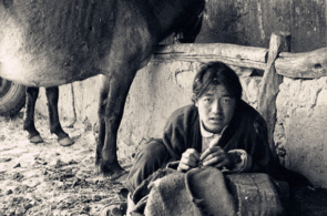 直击上世纪的西藏农奴:被农奴主欺压当马骑,看了让人心疼不已_1