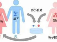 天天要聞