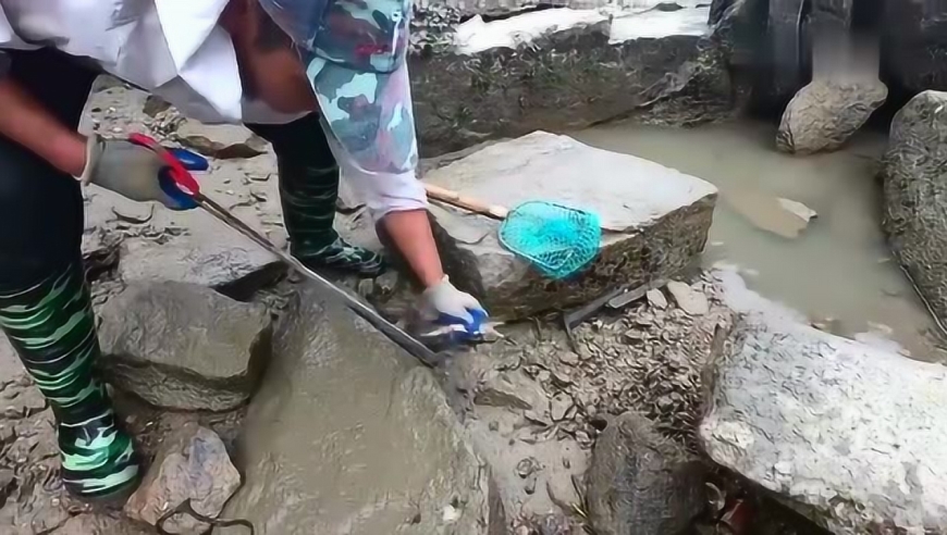 福建大叔赶海抽水坑,水都还没抽干就连抓硬货,这条大的有3斤重
