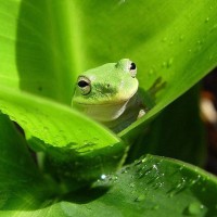 青王子影视的个人频道