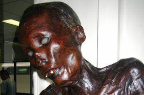 食人魔鞣酸 腾讯网