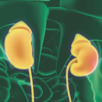 糖尿病肾病治疗的新时代:浅谈SGLT2抑制剂的