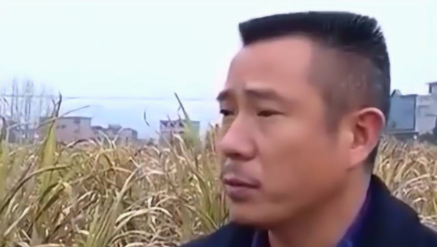 赣西黑山羊饲料成本极高,男子种植的皇竹草,大大降低了饲料成本