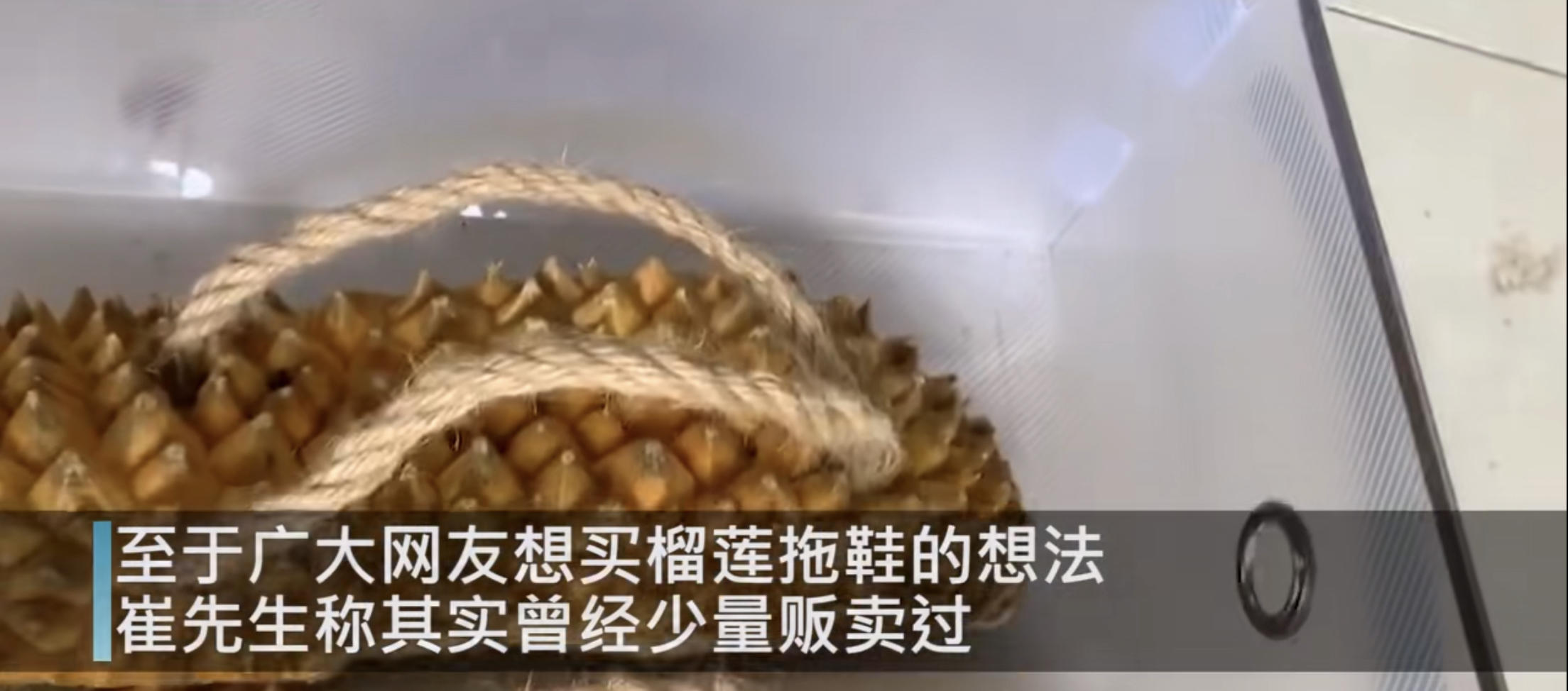 小伙用榴莲壳做拖鞋送女友