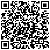 2015年低风险基金排行榜