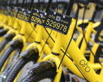 ofo����Ѻ�����֥����������650�֣���ֻ���Ϻ��û�����