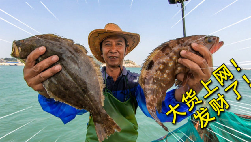 渔民老魏出海发财了,都是值钱大货太刺激了,收获价值近千元海货