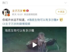 这些沙雕动物简直有毒!海洋动物的世界你不懂