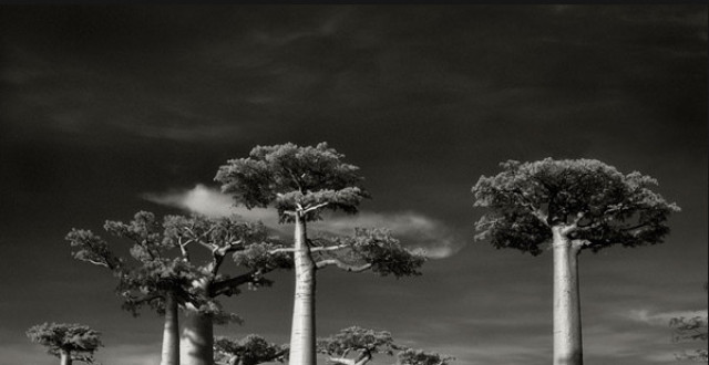 从悯农到见惯浑闲事,名人李绅经历了什么