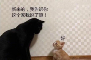 搞笑gif车我先到马路对面等你你快点啊6767