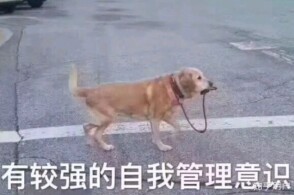 熊熊可爱表情包˙˙