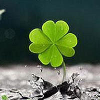 许华升酒吧开业庆典