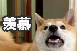 幽默搞笑表情包小妹妹处对象吗