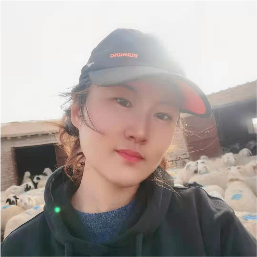 草原姑娘雅煊2021-01-12 07:07 羊羔出生就要断尾?