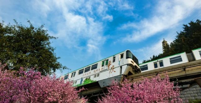 “开往春天的列车”，正载着这座城市的希望，驶向幸福！_腾讯新闻