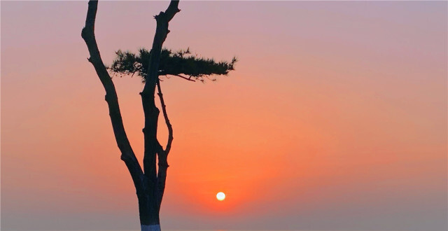 日照万平口景区及周边景点旅游攻略，值得期待的高质量游玩打卡地玩法_腾讯新闻