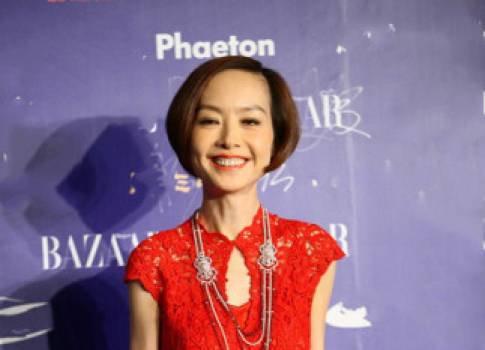 鲁豫的内衣_鲁豫发型(2)
