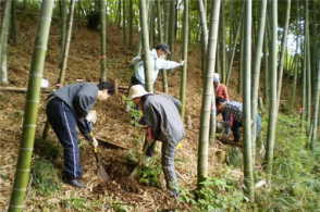 5岁女童挖笋失踪3000人搜查15年未破案警犬反应不太对劲