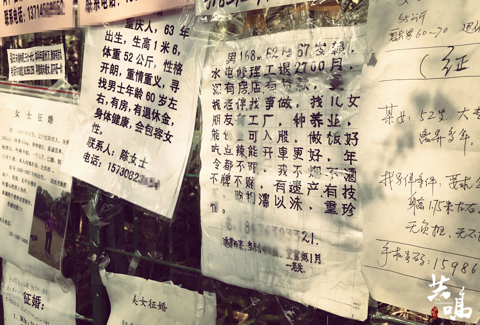 VOL.43 深圳67岁老兵相亲角征婚 想找老伴一起