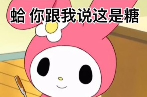 美乐蒂和库洛米表情包