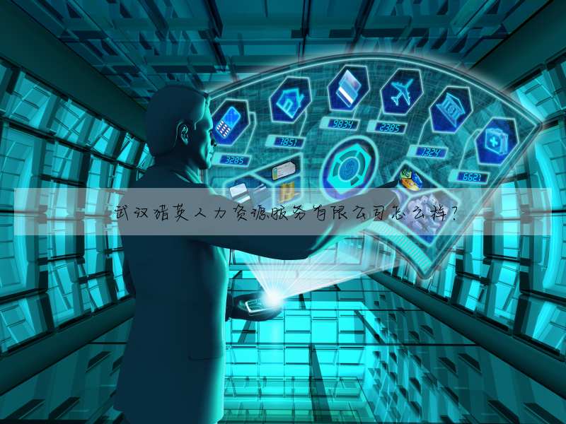 武汉猎英人力资源服务有限公司怎么样?