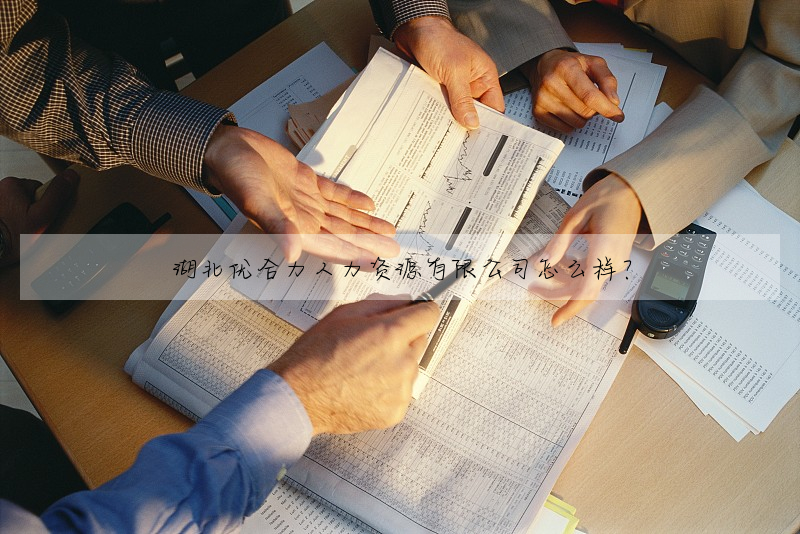 湖北优合力人力资源有限公司怎么样?