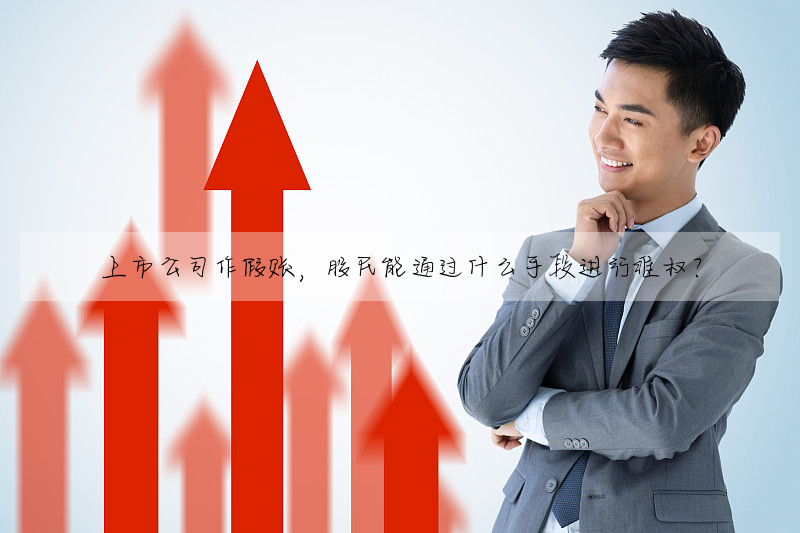 上市公司作假账,股民能通过什么手段进行维权?