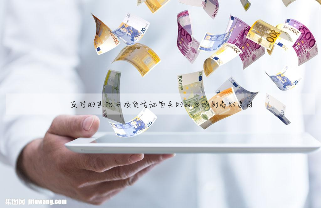 支付的其他与投资活动有关的现金特别高的原因
