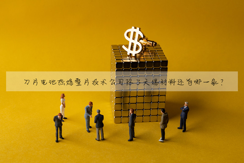 刀片电池热熔叠片技术公司除了天赐材料还有哪一家?