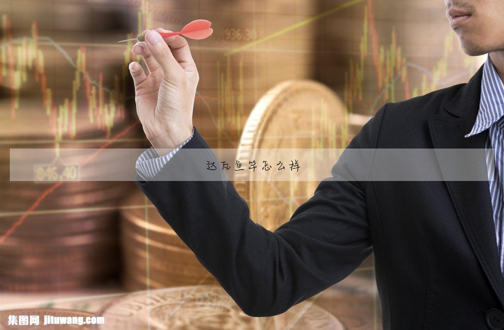 达瓦鱼竿怎么样