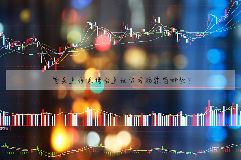 有关上海世博会上证公司股票有哪些?