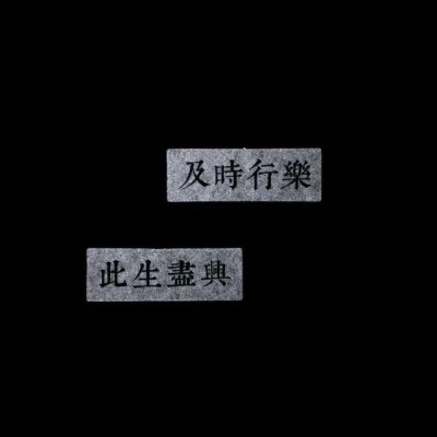 小众却惊艳的文案，小众却惊艳的文案关于玫瑰