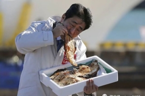 杜振华:日本福岛生出核辐射杂交猪,超恐怖,直接导致动物的dna变异
