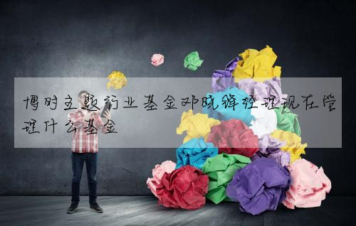 博时主题行业基金邓晓锋经理现在管理什么基金