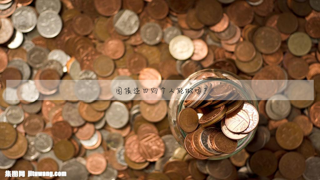 国债逆回购个人能做吗?
