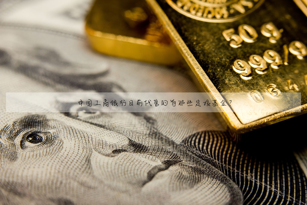 中国工商银行目前代售的有那些定投基金?