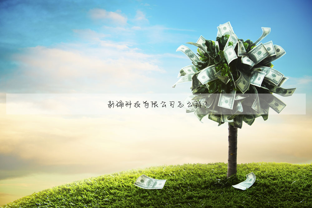 新确科技有限公司怎么样?